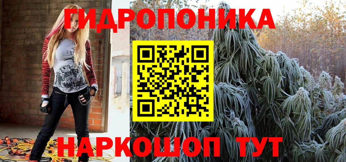 Сокол  Конопля марихуана  Вход с VPN  Каннабис марихуана  Шишки марихуана MAZAR 